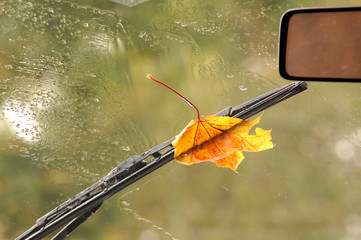 Car window