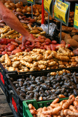 Farmers market stand