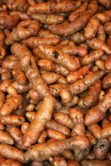 Raw fingerling potatoes