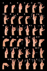 polish sign language