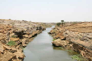 le bani