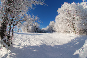 Ombre sur neige
