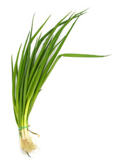 Fototapeta premium fresh chives