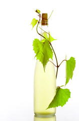 grape wine