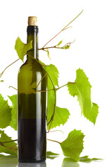 vine and bottle