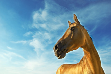 Golden horse of Turkmenistan 3 - obrazy, fototapety, plakaty