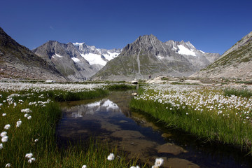 Paysage de montagne