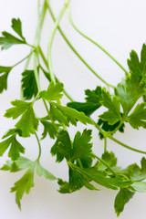 parsley
