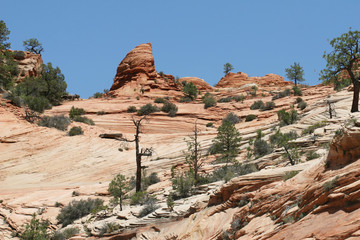 Desert Sandstone