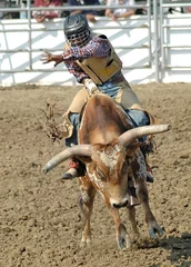 Papier Peint photo Lavable Tauromachie Cowboy & Bull