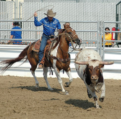 Cowboy Roping a Bull