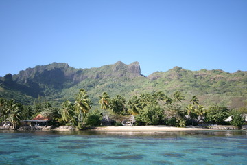 Isla de Moorea, Polinesia