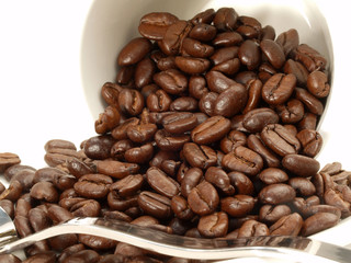 Kaffeetasse - Kaffeebohnen