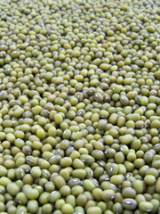 graines de soja