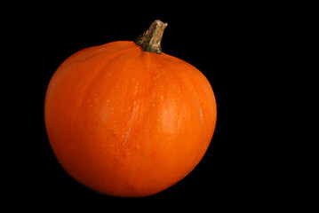 Orange pumpkin isolated on black background