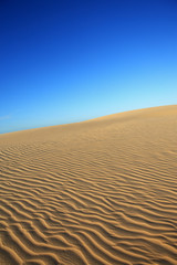sand dune of cumbuco