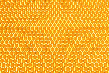 honey cells texture