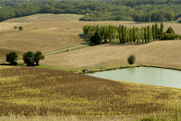 bassine  © Adrien Roussel