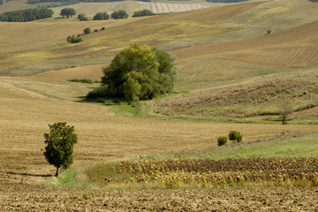 Campagne gersoise