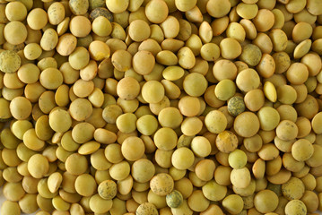 Lentils - close up