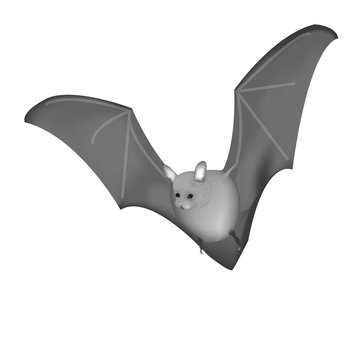 Bat