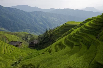 Photo sur Aluminium Chine Les terrasses de Longji