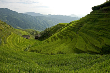 Fototapeta na wymiar Longsheng tarasy ryżowe