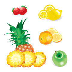 Fruits (editable vector or XXL jpeg image)