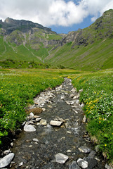 Stream in Swiss Alps