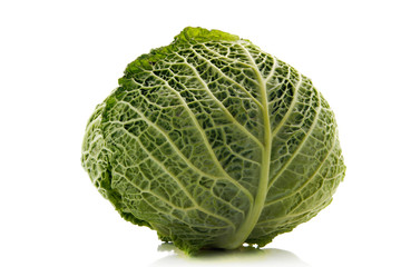 Fototapeta premium green cabbage