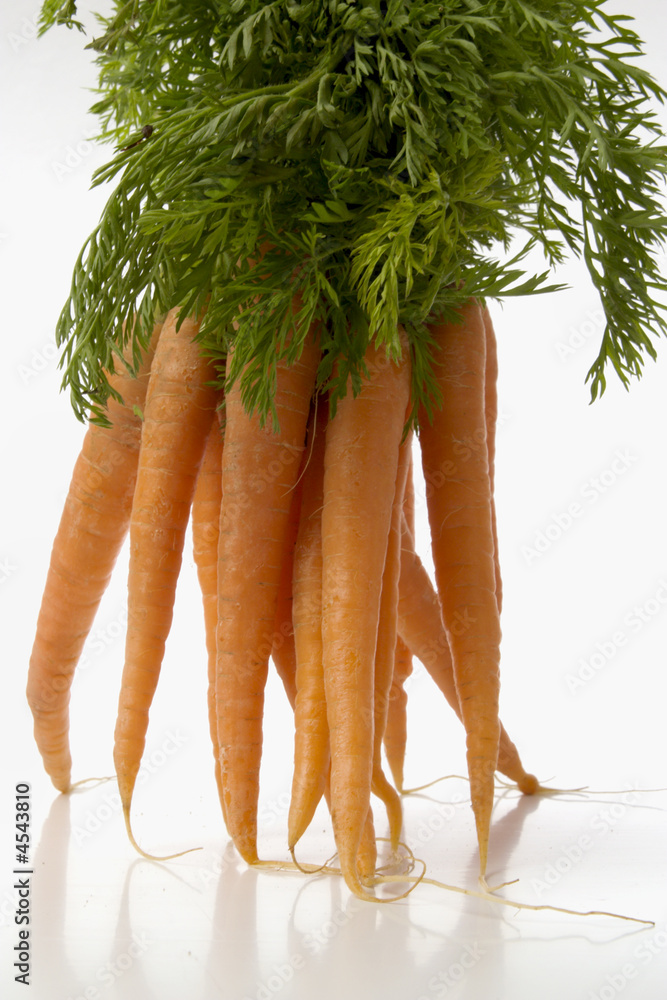 Canvas Prints fresh carrots