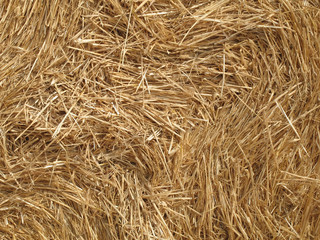 Close-up of a straw bale