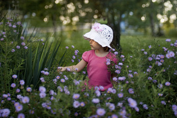 In the garden