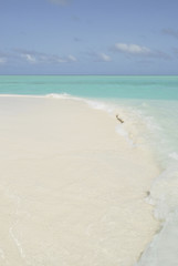 Desert Maldivian island