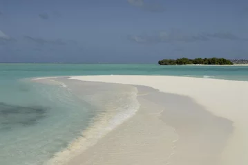Foto op Canvas Desert Maldivian island © Albo