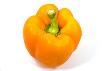 Paprika