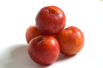 Four dropped plums