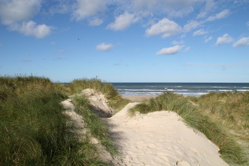 Fototapeta na wymiar Widok z wydmy na plaży