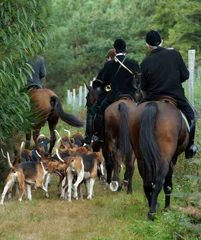 Tuinposter meute de chiens et cavaliers © jeanma85
