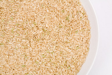 Brown Rice