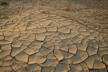 Dry soil - ecology disaster