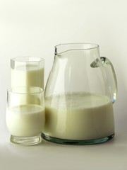 much of cow milk