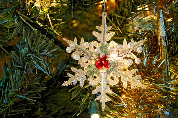 Sknowflake Christmas Ornament