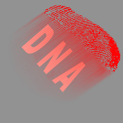 DNA fingerprint