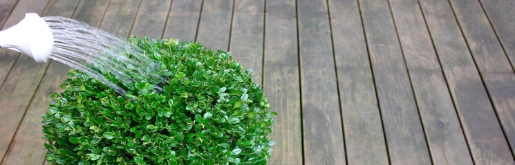 horticulture banner © Horticulture