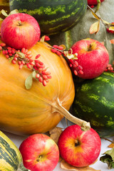 autumn harvest