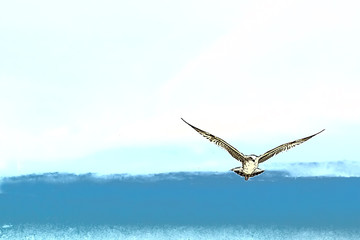 Gaviota sobre el Mar