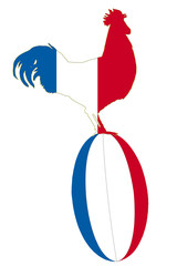 COQ FRANCE RUGBY