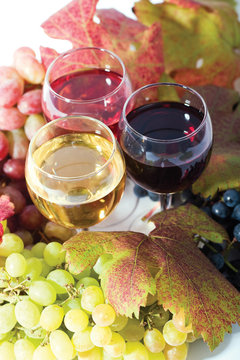 three sorts of wine