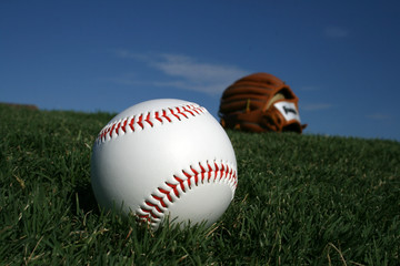 Baseball and Glove in Grass
